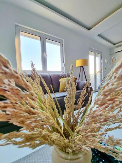 Mia Airport Appartement *